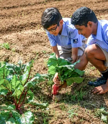 Nalanda school students kitchen gardening