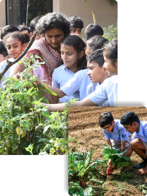 Nalanda school students observing plants