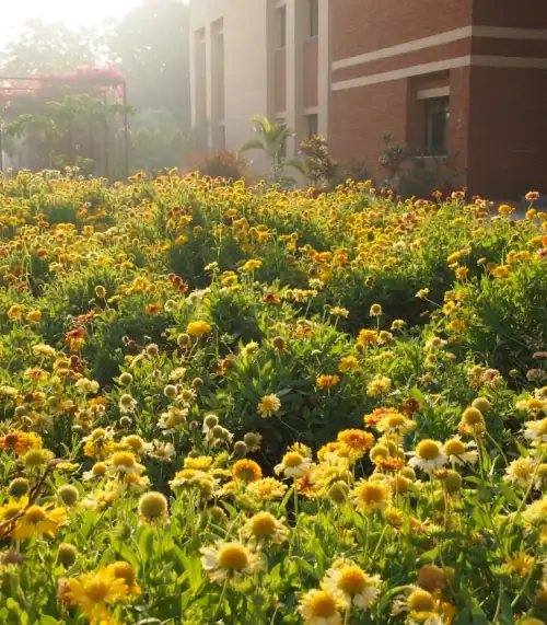 Nalanda green campus flower garden