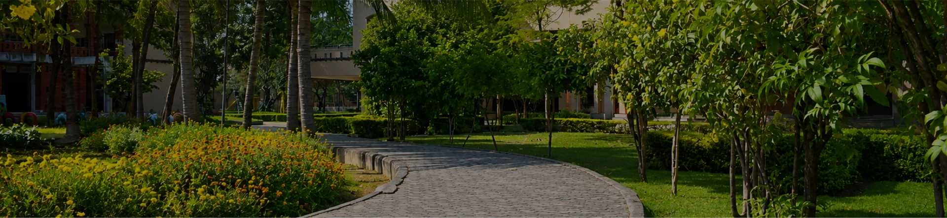 Green campus of Nalanda International School Vadodara